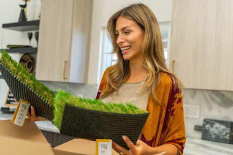 upgrade your lawn to turf