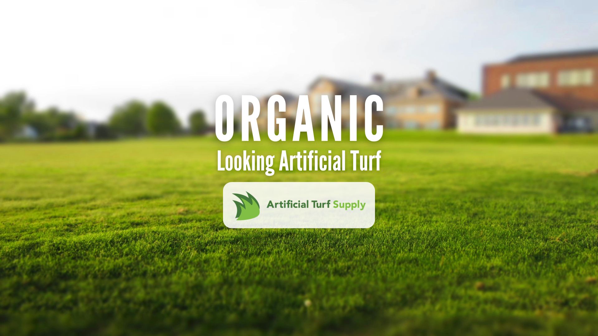 organic artificial turf
