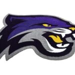 custom cut logo for an artificial turf sports field